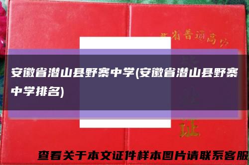 安徽省潜山县野寨中学(安徽省潜山县野寨中学排名)缩略图