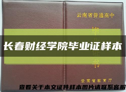 长春财经学院毕业证样本缩略图