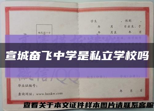 宣城奋飞中学是私立学校吗缩略图