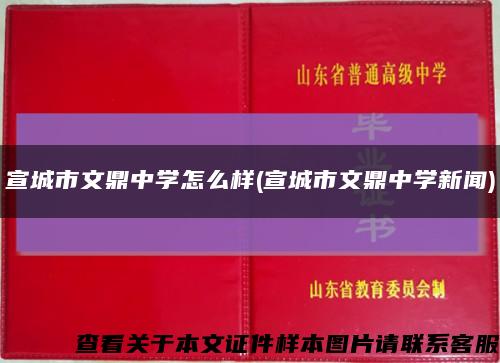 宣城市文鼎中学怎么样(宣城市文鼎中学新闻)缩略图