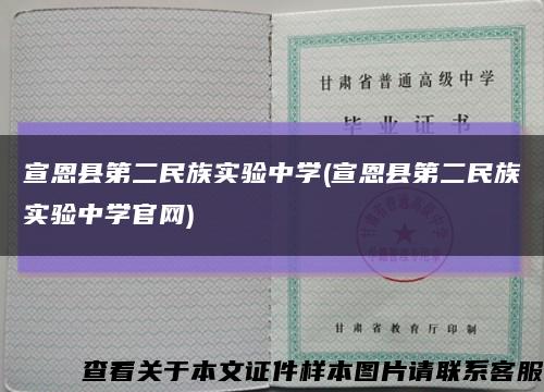 宣恩县第二民族实验中学(宣恩县第二民族实验中学官网)缩略图