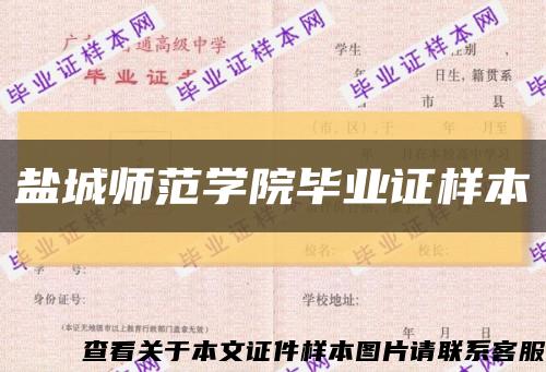 盐城师范学院毕业证样本缩略图