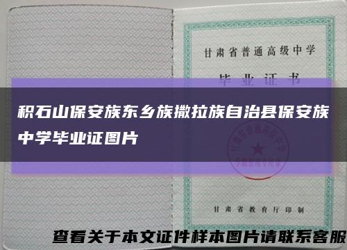 积石山保安族东乡族撒拉族自治县保安族中学毕业证图片缩略图