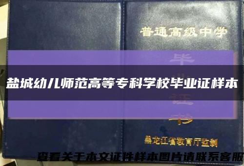 盐城幼儿师范高等专科学校毕业证样本缩略图