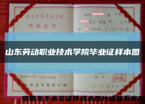 山东劳动职业技术学院毕业证样本图缩略图