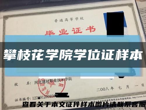 攀枝花学院学位证样本缩略图