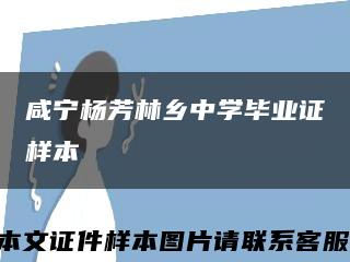 咸宁杨芳林乡中学毕业证样本缩略图