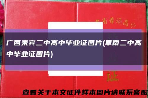 广西来宾二中高中毕业证图片(阜南二中高中毕业证图片)缩略图