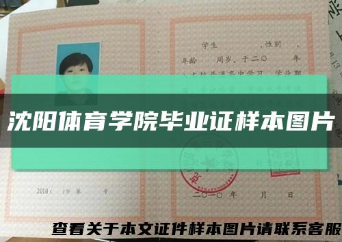 沈阳体育学院毕业证样本图片缩略图