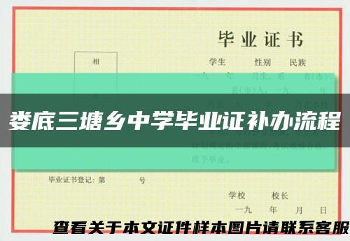 娄底三塘乡中学毕业证补办流程缩略图