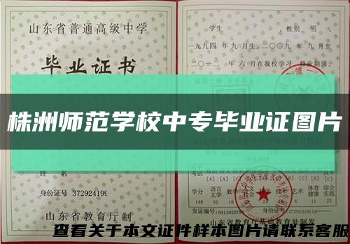 株洲师范学校中专毕业证图片缩略图