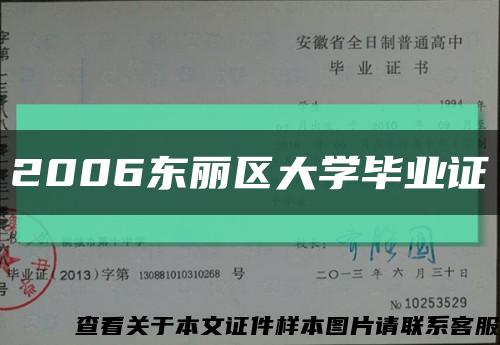 2006东丽区大学毕业证缩略图