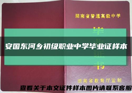 安国东河乡初级职业中学毕业证样本缩略图