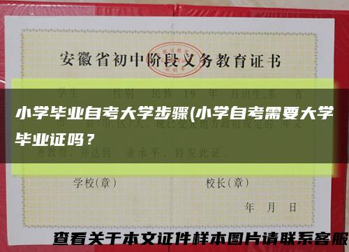 小学毕业自考大学步骤(小学自考需要大学毕业证吗？缩略图