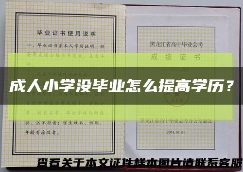 成人小学没毕业怎么提高学历？缩略图