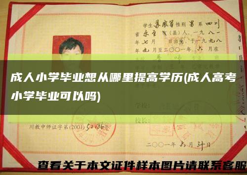 成人小学毕业想从哪里提高学历(成人高考小学毕业可以吗)缩略图