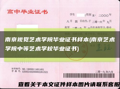 南京视觉艺术学院毕业证书样本(南京艺术学院中等艺术学校毕业证书)缩略图