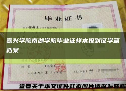 嘉兴学院南湖学院毕业证样本报到证学籍档案缩略图