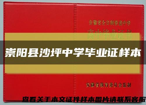 崇阳县沙坪中学毕业证样本缩略图