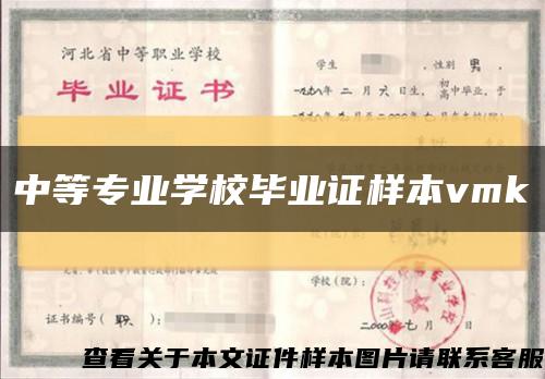 中等专业学校毕业证样本vmk缩略图