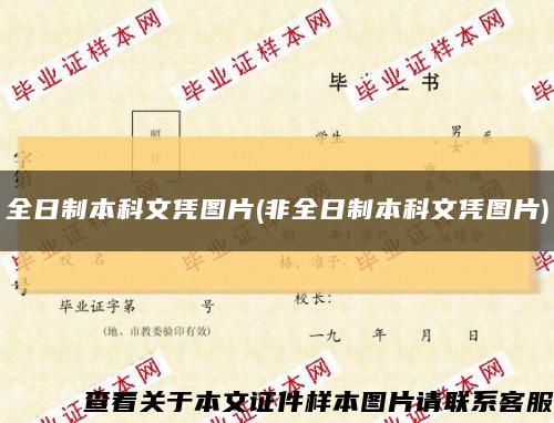 全日制本科文凭图片(非全日制本科文凭图片)缩略图