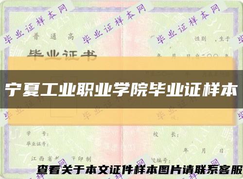 宁夏工业职业学院毕业证样本缩略图