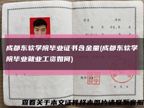 成都东软学院毕业证书含金量(成都东软学院毕业就业工资如何)缩略图