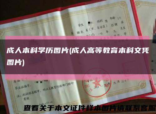 成人本科学历图片(成人高等教育本科文凭图片)缩略图