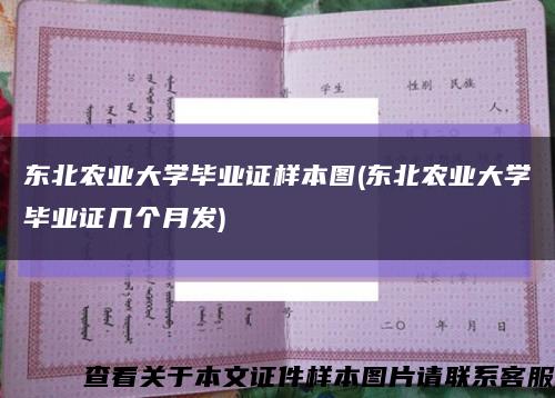 东北农业大学毕业证样本图(东北农业大学毕业证几个月发)缩略图