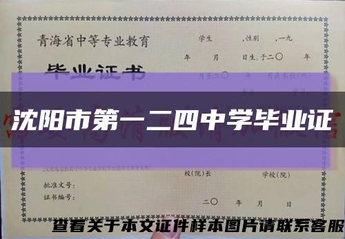 沈阳市第一二四中学毕业证缩略图