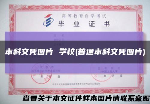 本科文凭图片 学校(普通本科文凭图片)缩略图