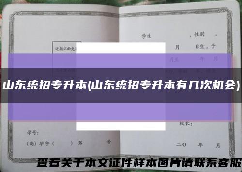 山东统招专升本(山东统招专升本有几次机会)缩略图