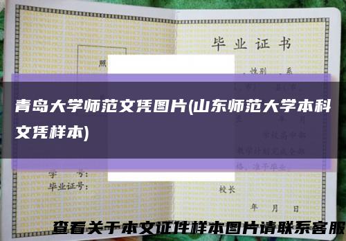 青岛大学师范文凭图片(山东师范大学本科文凭样本)缩略图