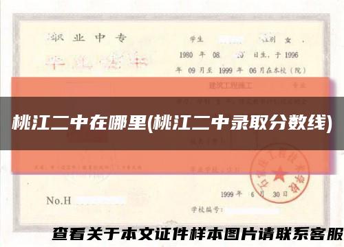 桃江二中在哪里(桃江二中录取分数线)缩略图