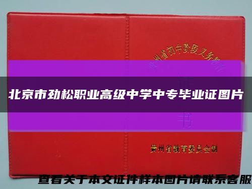 北京市劲松职业高级中学中专毕业证图片缩略图