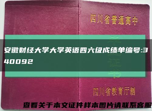 安徽财经大学大学英语四六级成绩单编号:340092缩略图