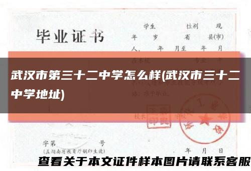 武汉市第三十二中学怎么样(武汉市三十二中学地址)缩略图