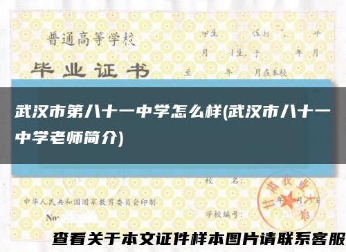 武汉市第八十一中学怎么样(武汉市八十一中学老师简介)缩略图