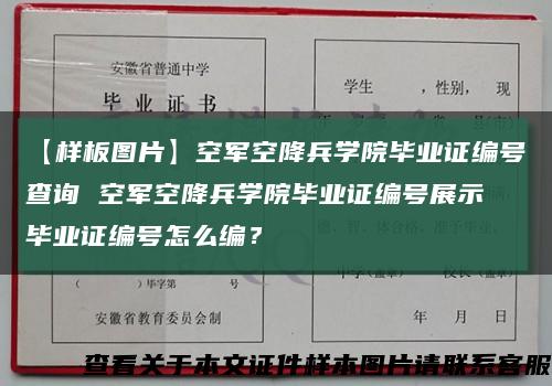 【样板图片】空军空降兵学院毕业证编号查询 空军空降兵学院毕业证编号展示 毕业证编号怎么编？缩略图