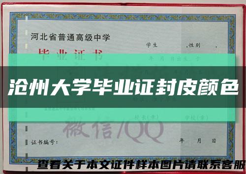 沧州大学毕业证封皮颜色缩略图