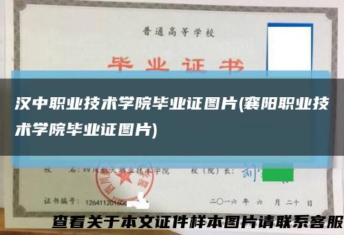 汉中职业技术学院毕业证图片(襄阳职业技术学院毕业证图片)缩略图