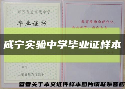 咸宁实验中学毕业证样本缩略图