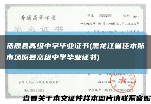 汤原县高级中学毕业证书(黑龙江省佳木斯市汤原县高级中学毕业证书)缩略图