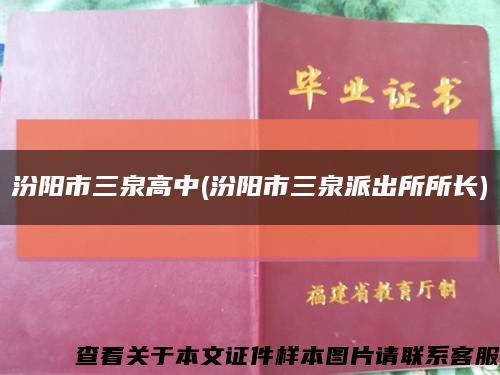 汾阳市三泉高中(汾阳市三泉派出所所长)缩略图