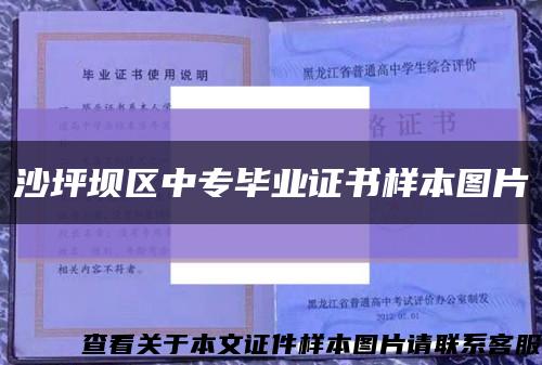 沙坪坝区中专毕业证书样本图片缩略图