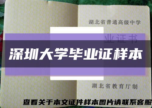 深圳大学毕业证样本缩略图