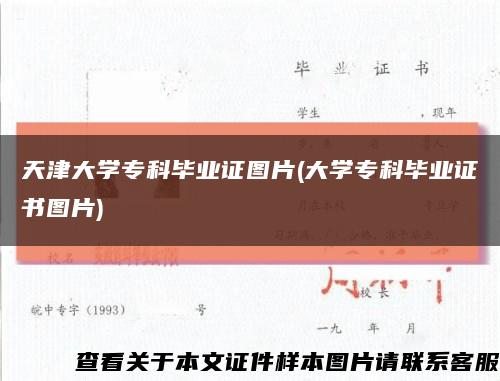 天津大学专科毕业证图片(大学专科毕业证书图片)缩略图