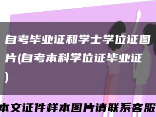 自考毕业证和学士学位证图片(自考本科学位证毕业证)缩略图