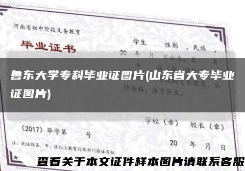 鲁东大学专科毕业证图片(山东省大专毕业证图片)缩略图