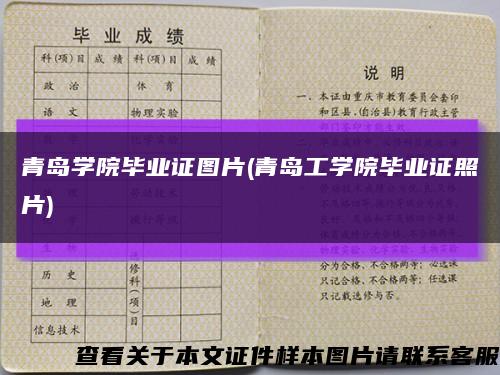 青岛学院毕业证图片(青岛工学院毕业证照片)缩略图